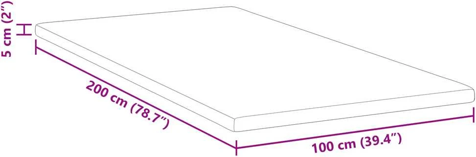 Čiužinys Miegamojo putų čiužinio užvalkalas 100 x 200 cm Thick Minkštas