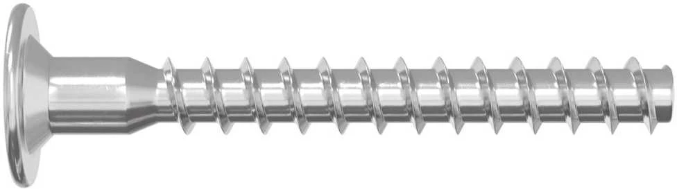 Confirmat varžtai 12 vnt. Sidabrinė Ø5 x 40 mm Metalas