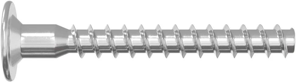 Confirmat varžtai 12 vnt. Sidabrinė Ø5 x 40 mm Metalas