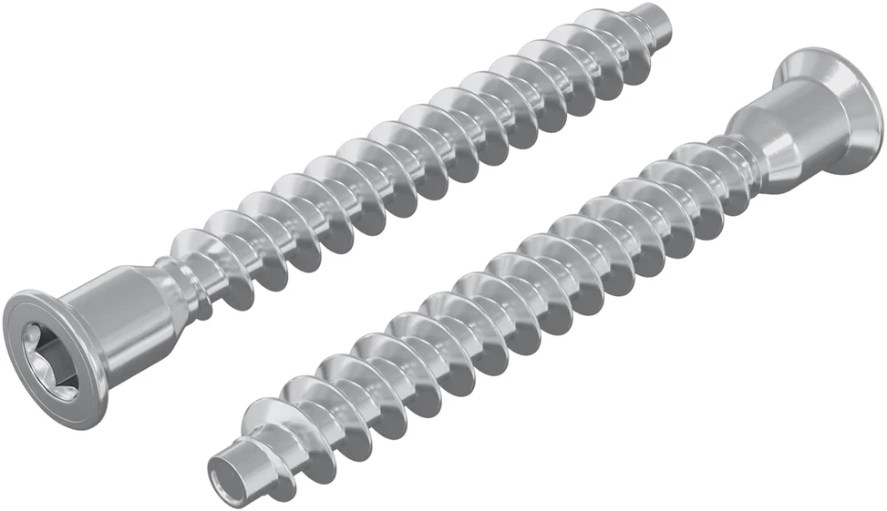 Confirmat varžtai 2 vnt. Sidabrinė Ø7 x 58 mm Metalas