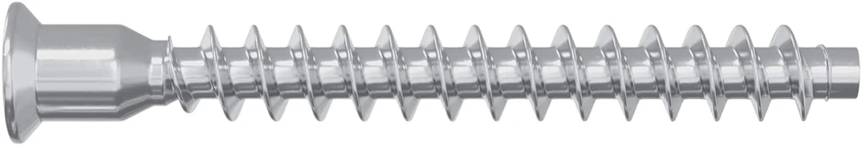 Confirmat varžtai 2100 vnt. Sidabrinė Metalas