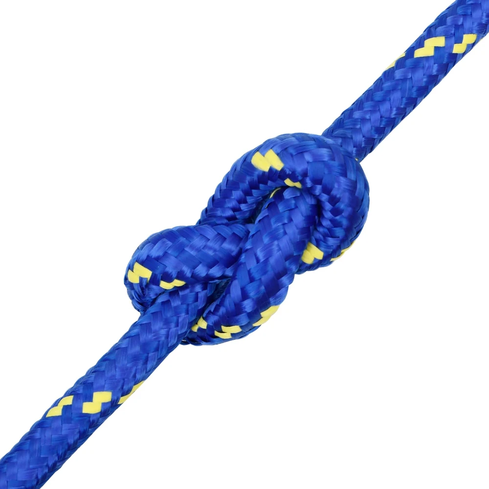 Daugiafunkcinė buitinė virvė 20 mm 100 m Mėlyna PP