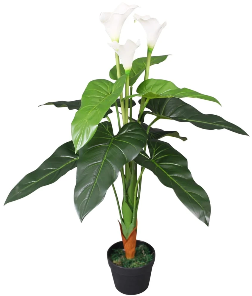 Dirbtinė abisininė kalija su vazonu, 85 cm, balta