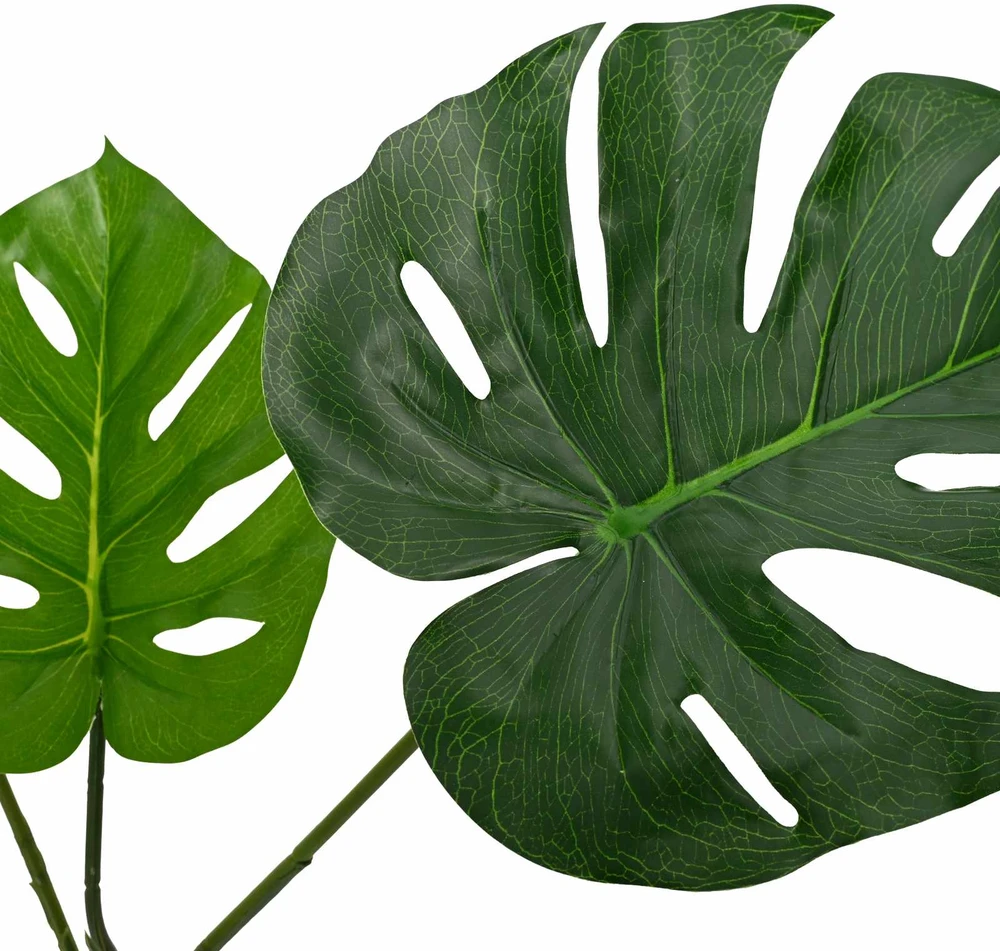 Dirbtinė Monstera Augalas Žalia 70 x 16 x 130 cm