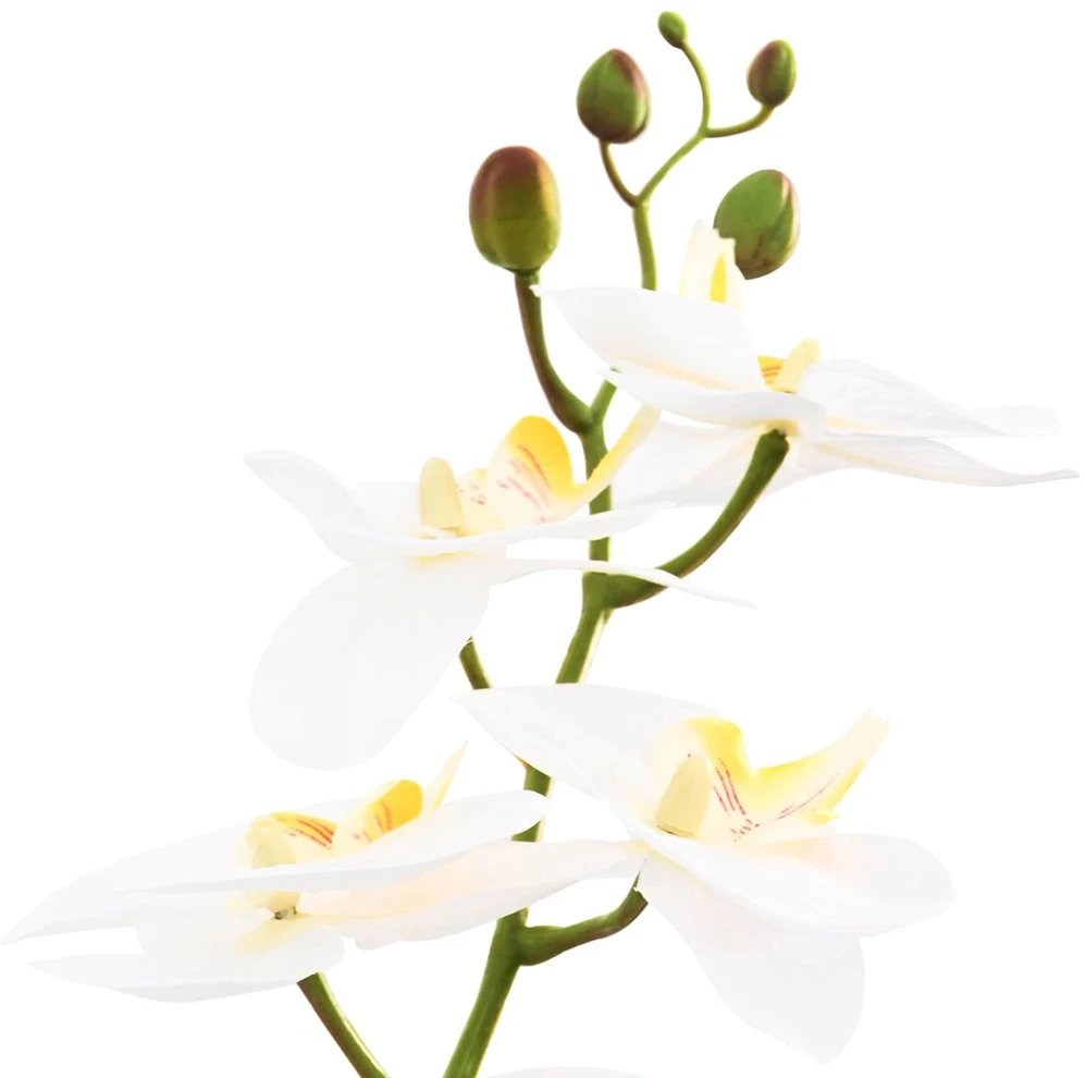 Dirbtinė orchidėja su vazonu Balta 45 x 15 x 65 cm