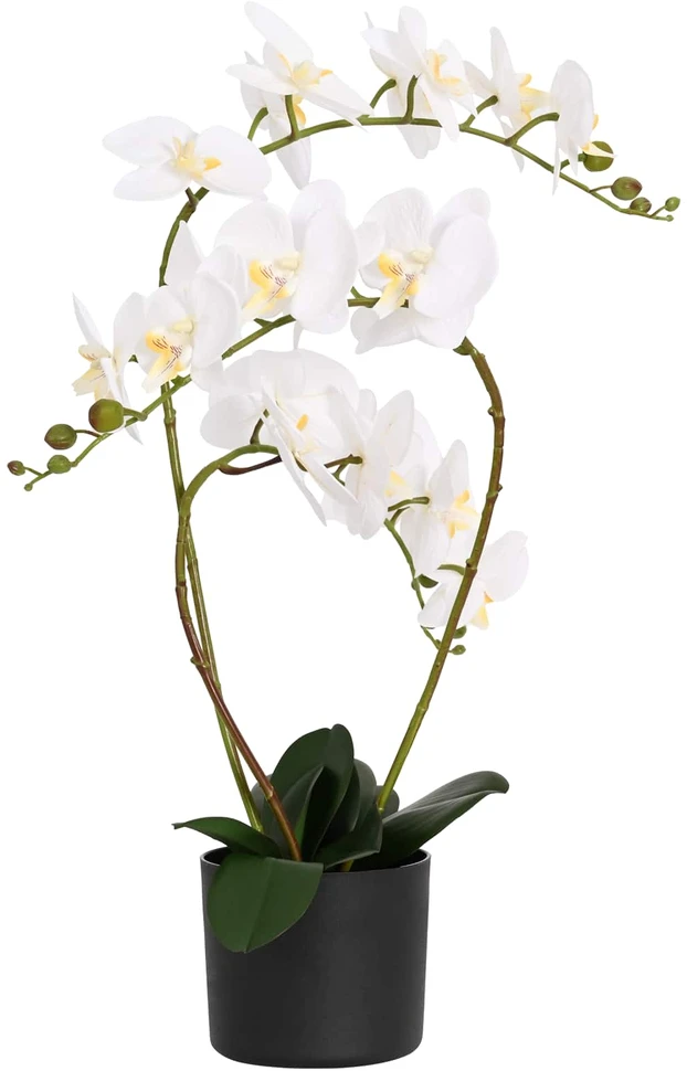 Dirbtinė orchidėja su vazonu Balta 45 x 15 x 65 cm