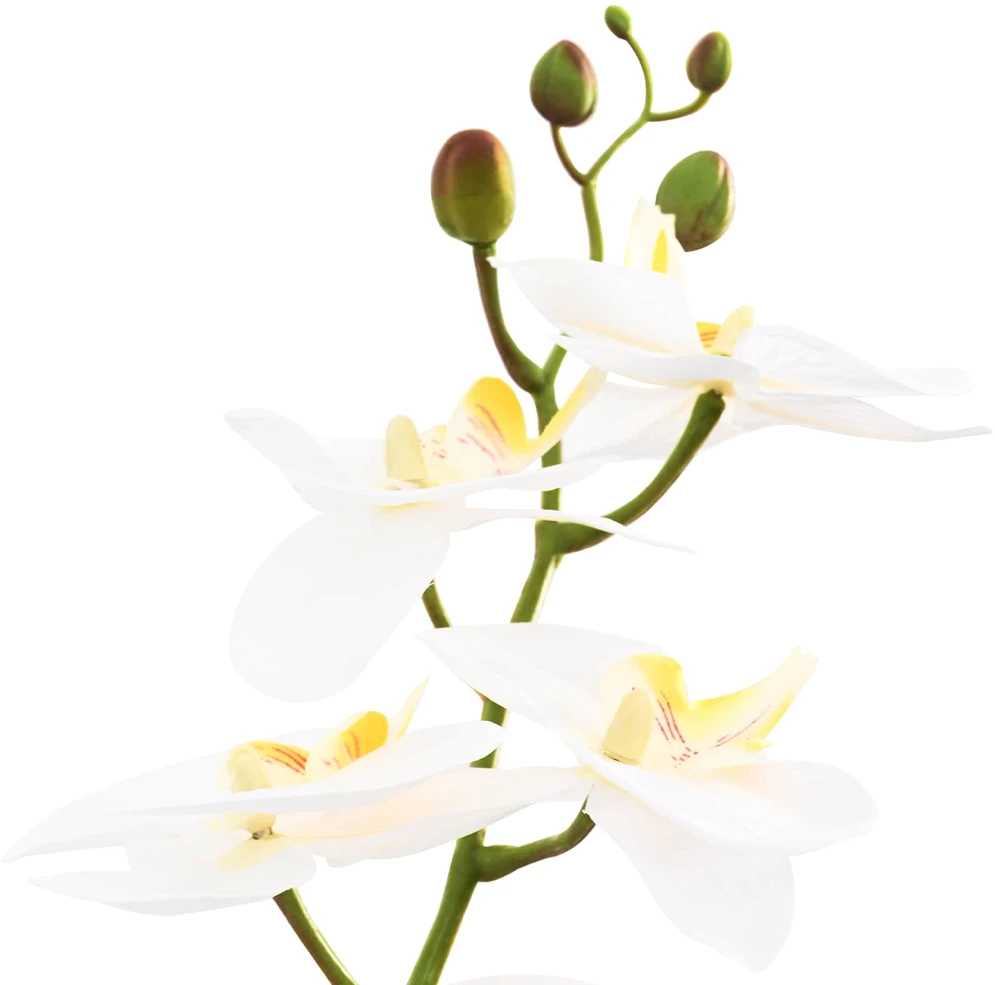 Dirbtinė orchidėja su vazonu Balta 45 x 15 x 65 cm