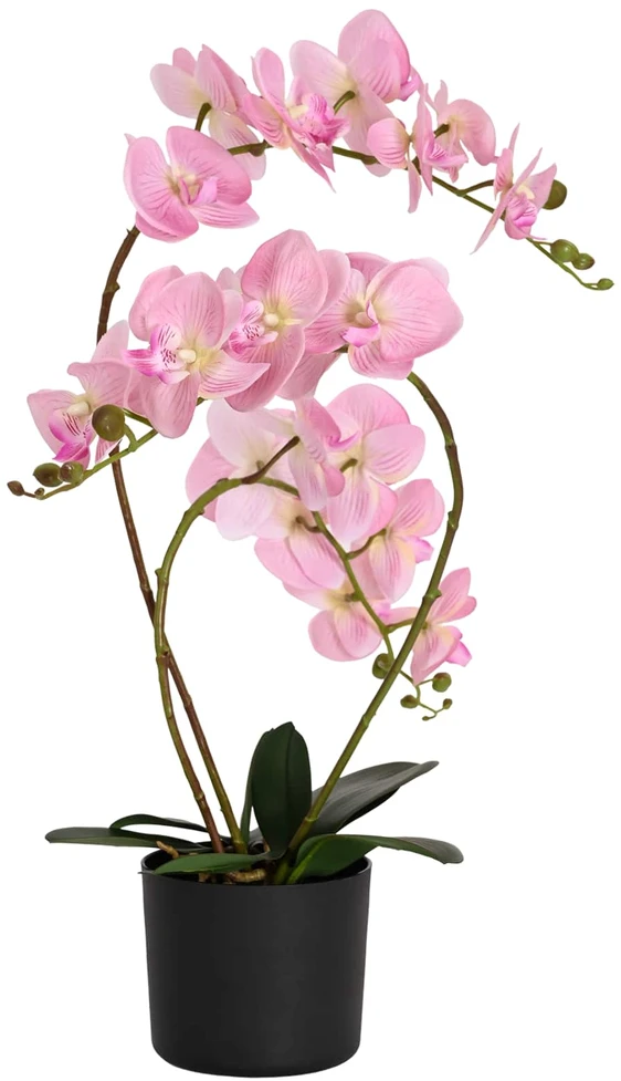 Dirbtinė orchidėja su vazonu Rožinė 45 x 15 x 65 cm
