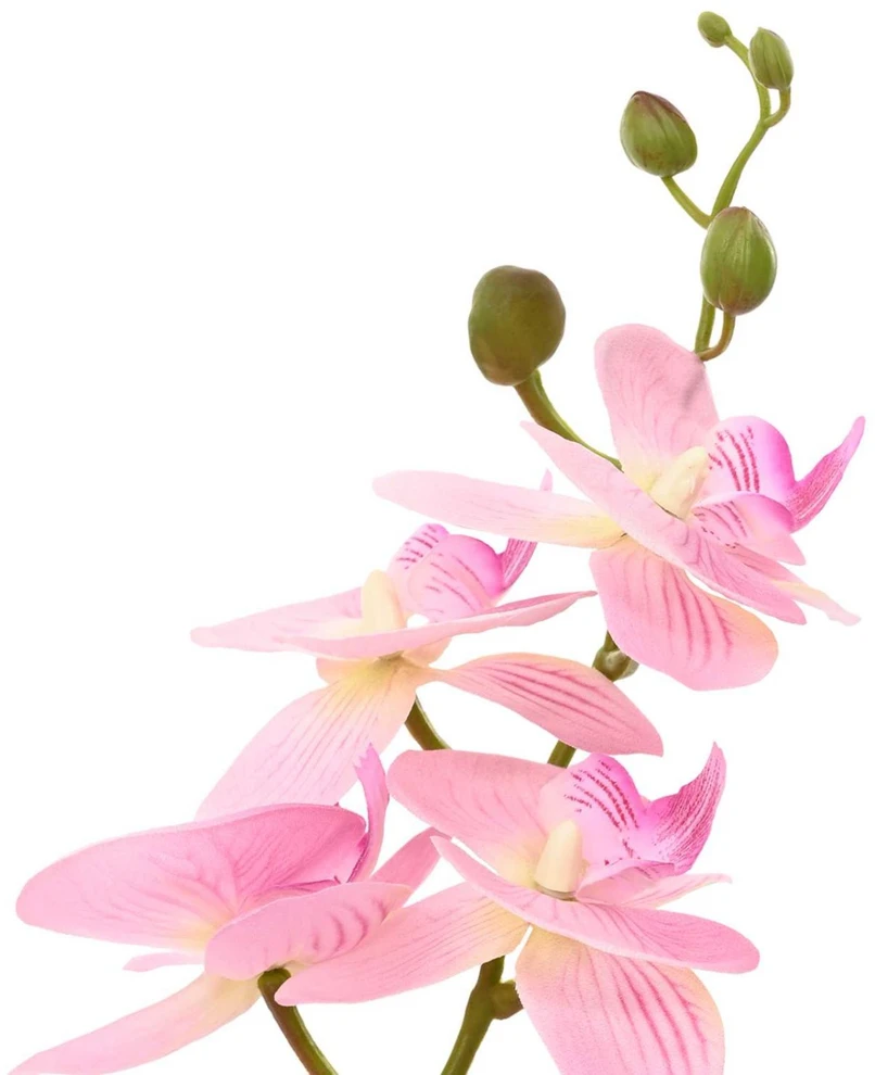 Dirbtinė orchidėja su vazonu Rožinė 45 x 15 x 65 cm