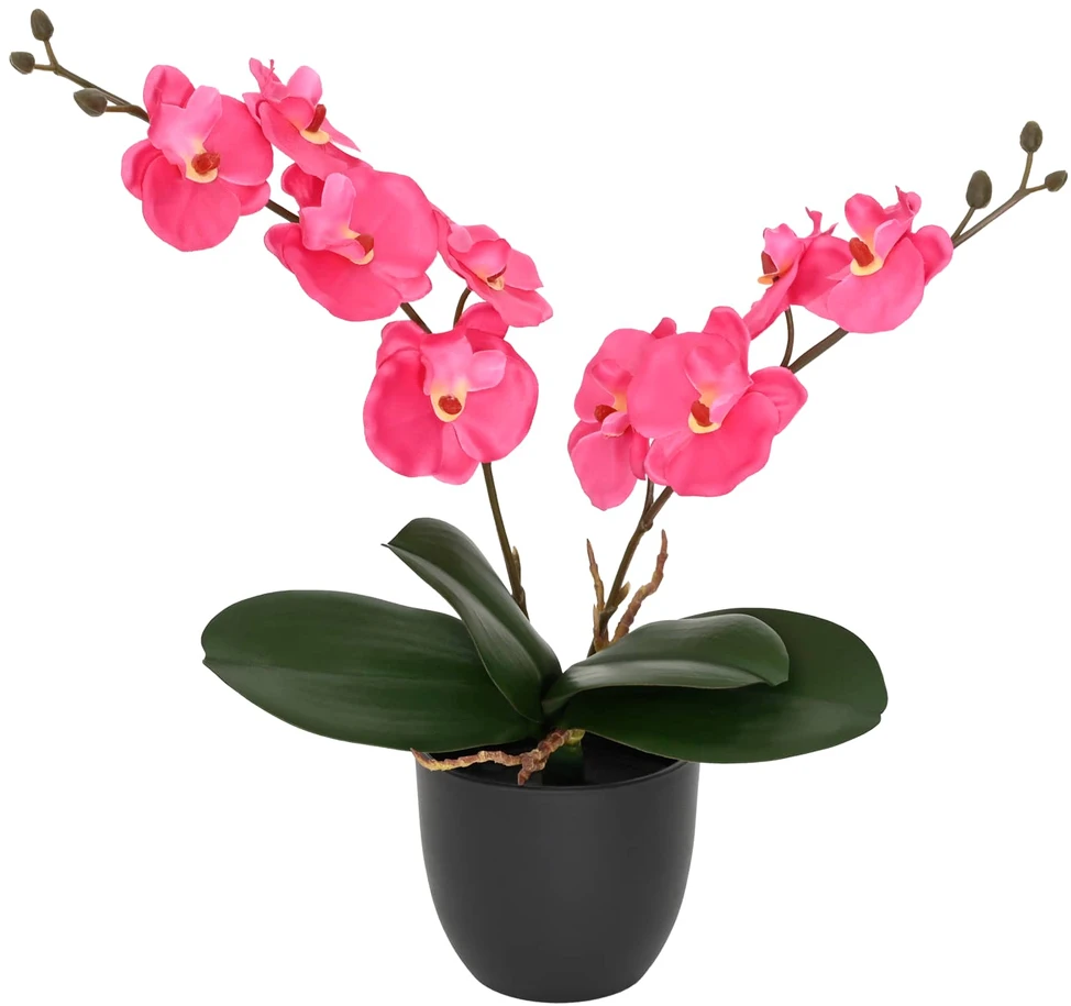 Dirbtinė orchidėjų augalas Raudona 36 x 10 x 30 cm