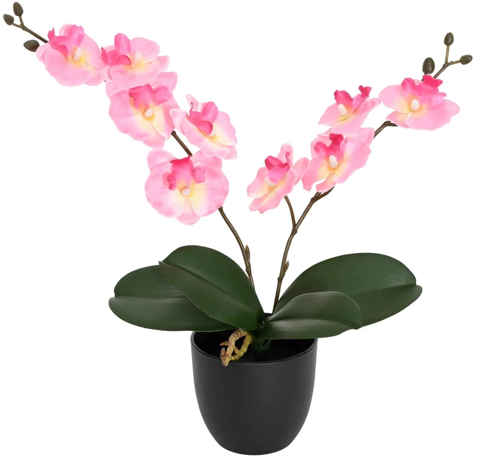 Dirbtinė orchidėjų augalas Rožinė 36 x 10 x 30 cm