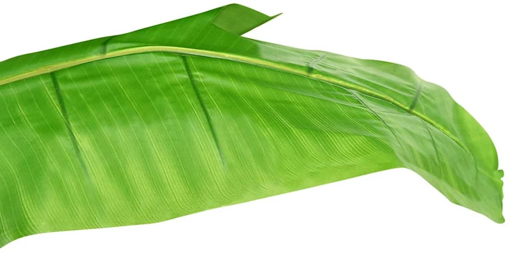 Dirbtinis bananmedis su vazonu, 140cm, žalias