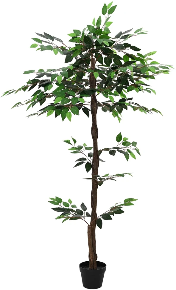 Dirbtinis fikusas Žalia 85 x 18 x 160 cm Medžiaga ir medis