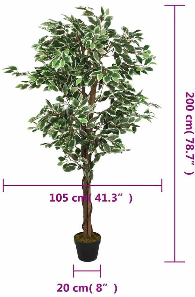 Dirbtinis fikusas, žalios spalvos, 200 cm, 1260 lapai