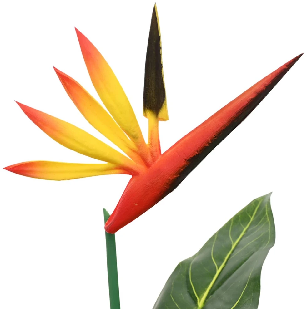 Dirbtinis Strelitzia Augalas Žalia 65 x 13 x 55 cm