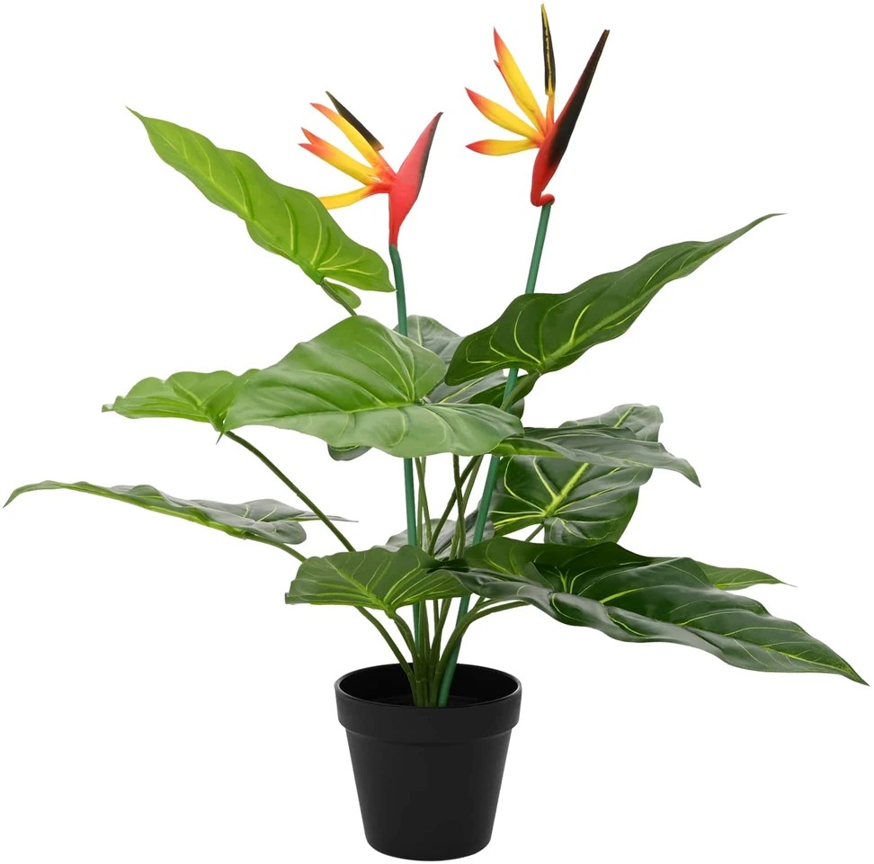 Dirbtinis Strelitzia Augalas Žalia 65 x 13 x 55 cm