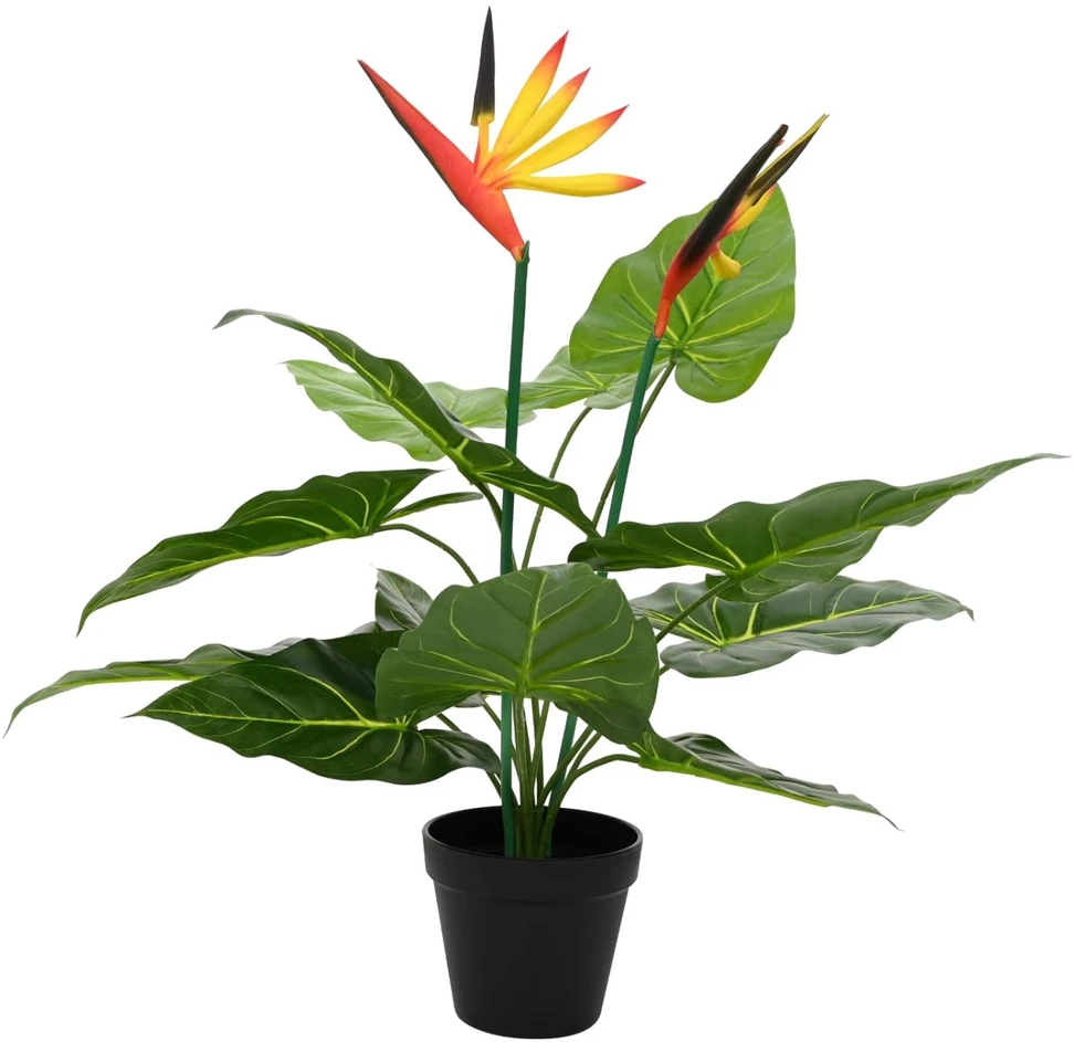 Dirbtinis Strelitzia Augalas Žalia 65 x 13 x 55 cm
