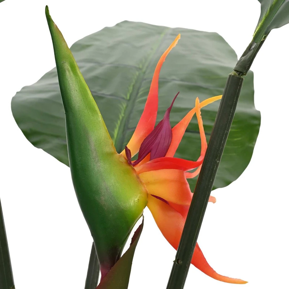 Dirbtinis Strelitzia Augalas Žalia 70 x 18 x 155 cm
