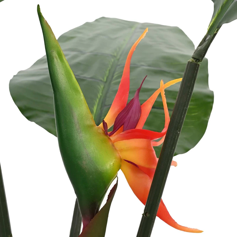 Dirbtinis Strelitzia Augalas Žalia 70 x 18 x 155 cm