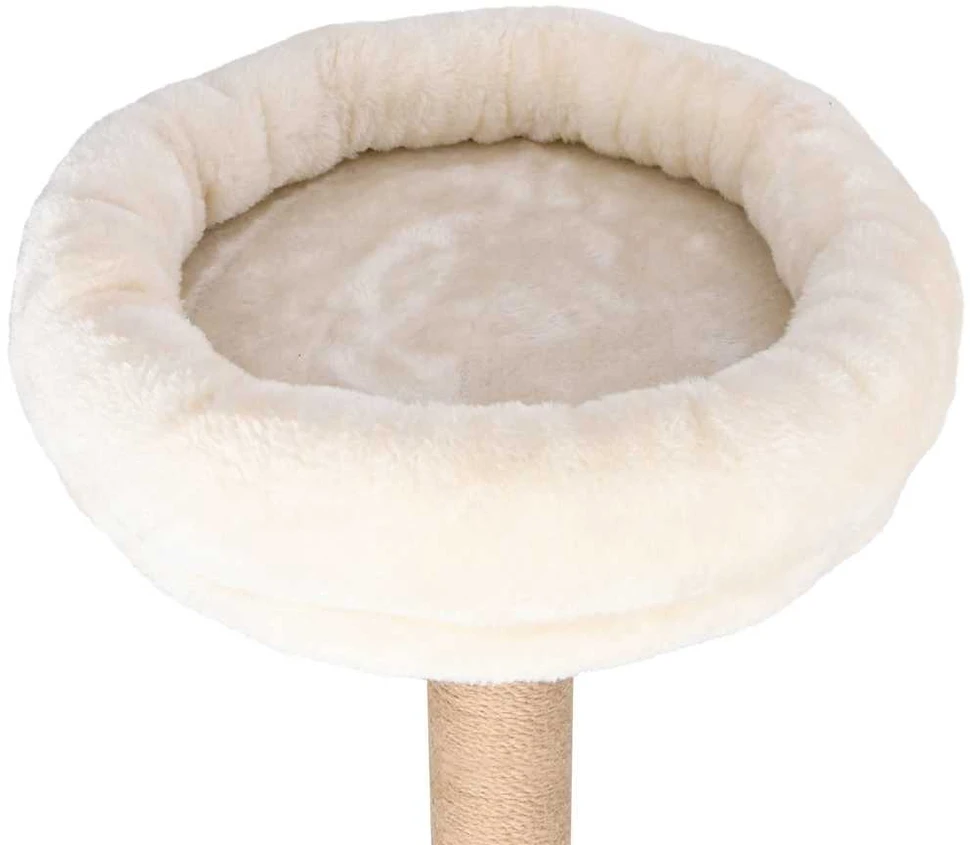 Draskyklė katėms su pagalvėle ir stovu, 148cm, jūros žolė