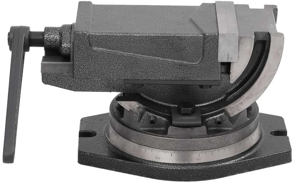 Dviejų ašių pakreipiamas spaustuvas, 100mm