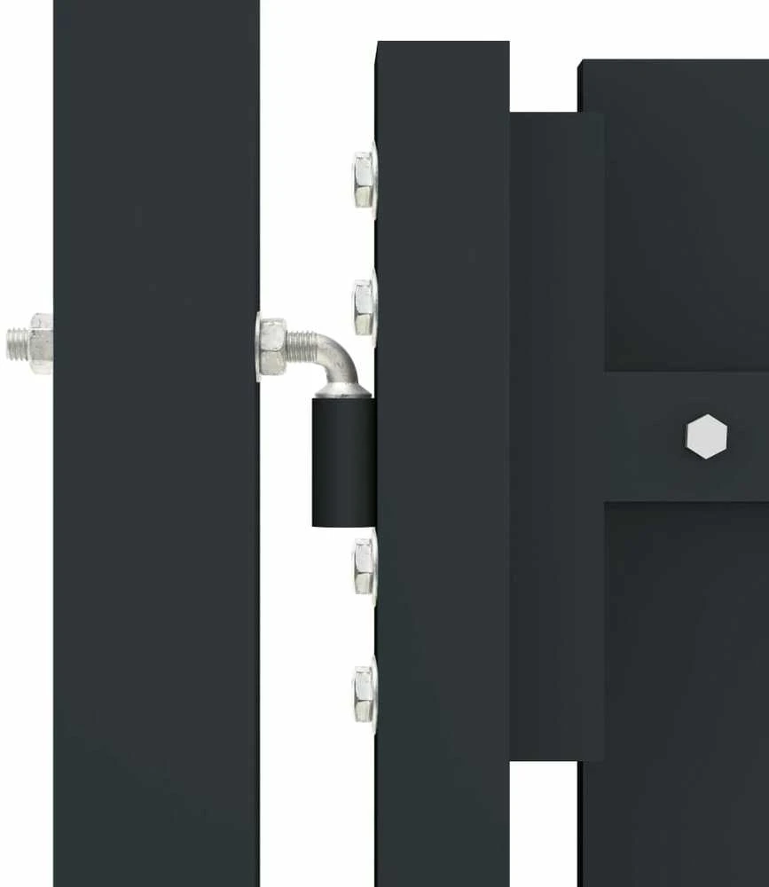 Dvigubi vartai, antracito spalvos, 306x125cm, plienas
