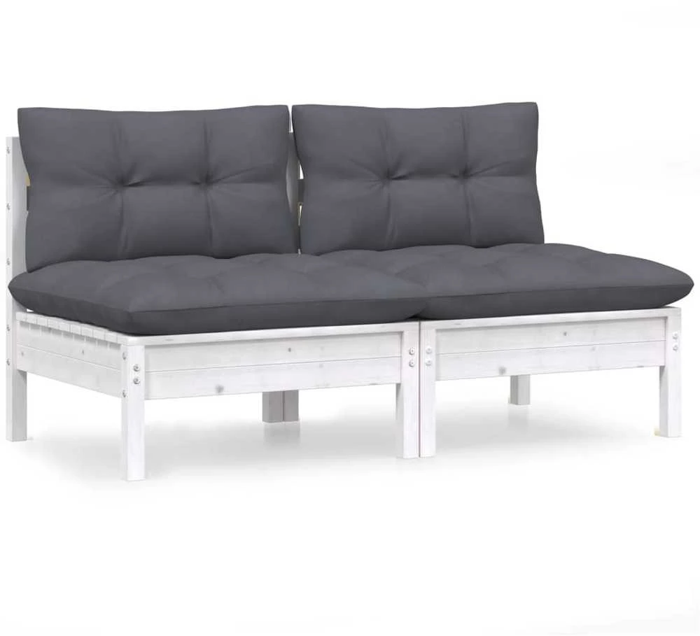 Dvivietė sodo sofa su antracito pagalvėlėmis, pušies masyvas