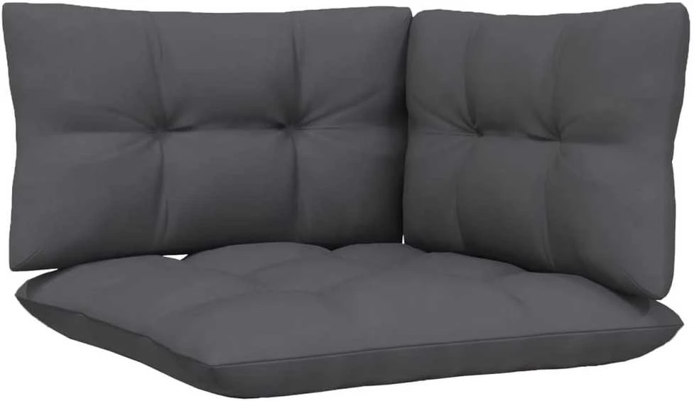 Dvivietė sodo sofa su antracito pagalvėlėmis, pušies masyvas