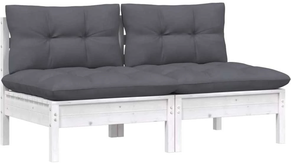 Dvivietė sodo sofa su antracito pagalvėlėmis, pušies masyvas