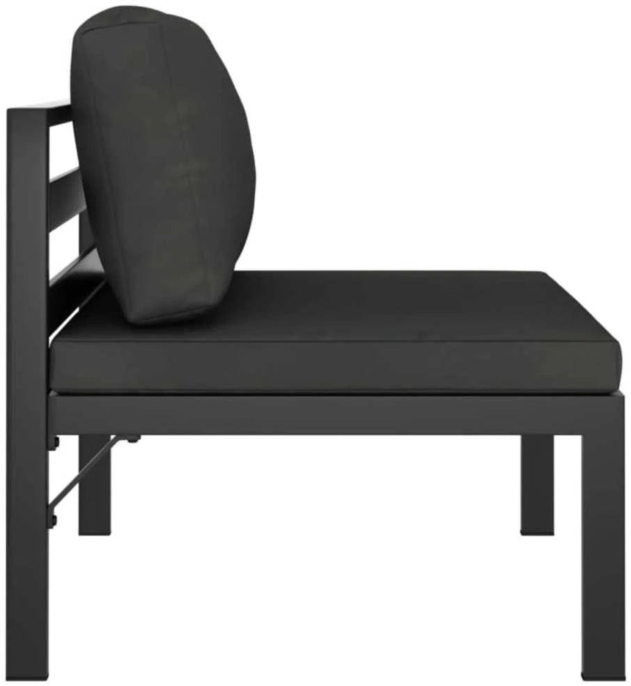 Dvivietė sodo sofa su pagalvėlėmis, antracito, aliuminis