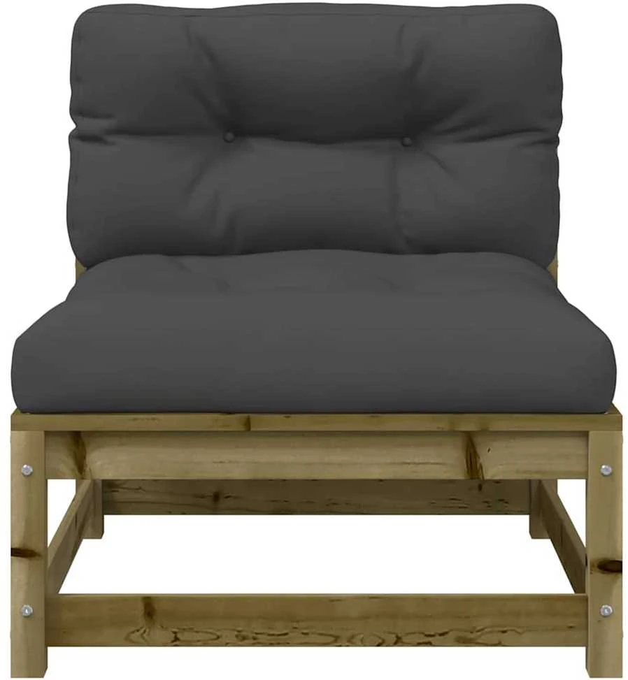 Dvivietė sodo sofa su pagalvėlėmis, impregnuota pušies mediena