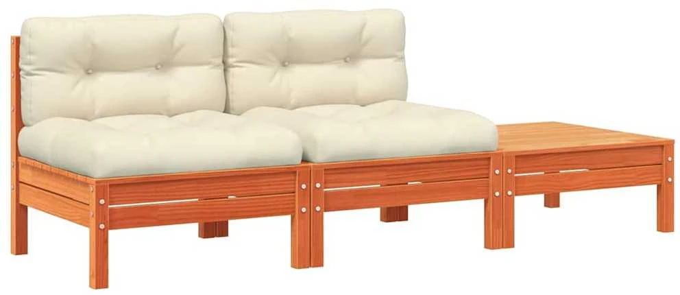 Dvivietė sodo sofa su pagalvėlėmis ir pakoja