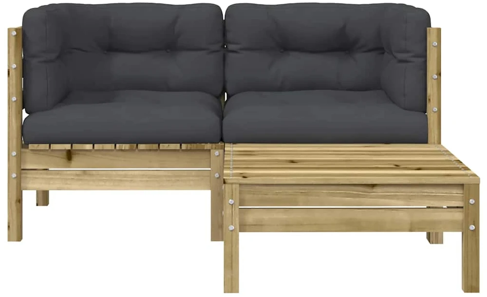 Dvivietė sodo sofa su pagalvėlėmis ir pakoja