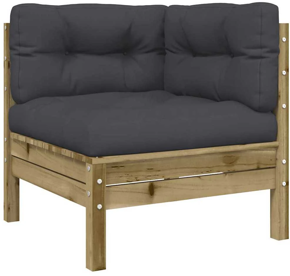 Dvivietė sodo sofa su pagalvėlėmis ir pakoja