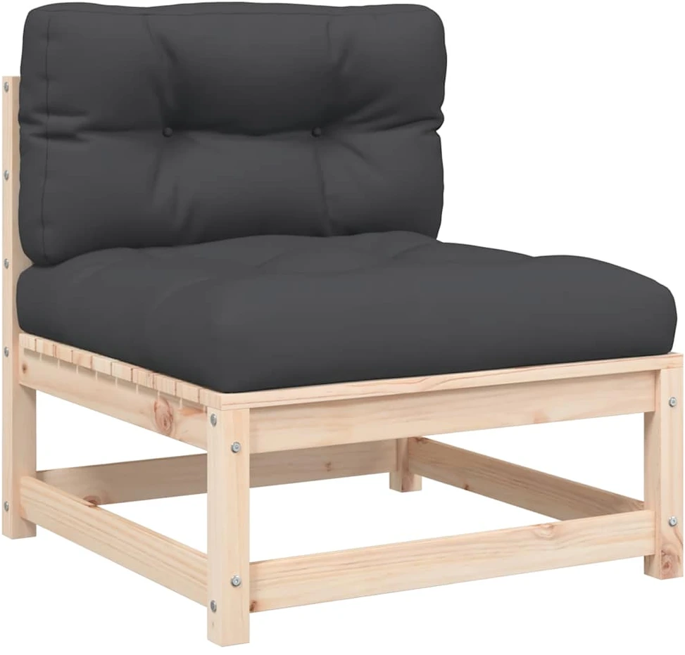 Dvivietė sodo sofa su pagalvėlėmis, pušies medienos masyvas