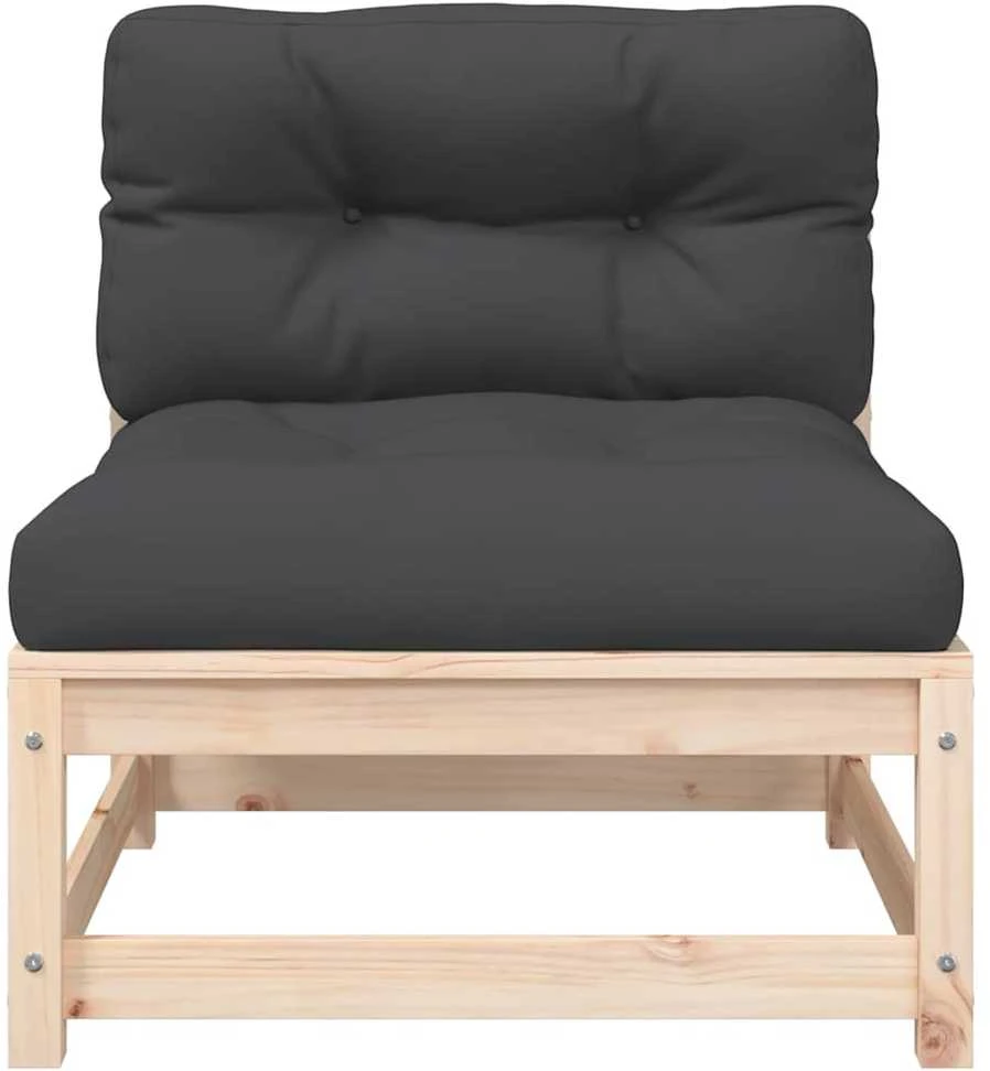 Dvivietė sodo sofa su pagalvėlėmis, pušies medienos masyvas