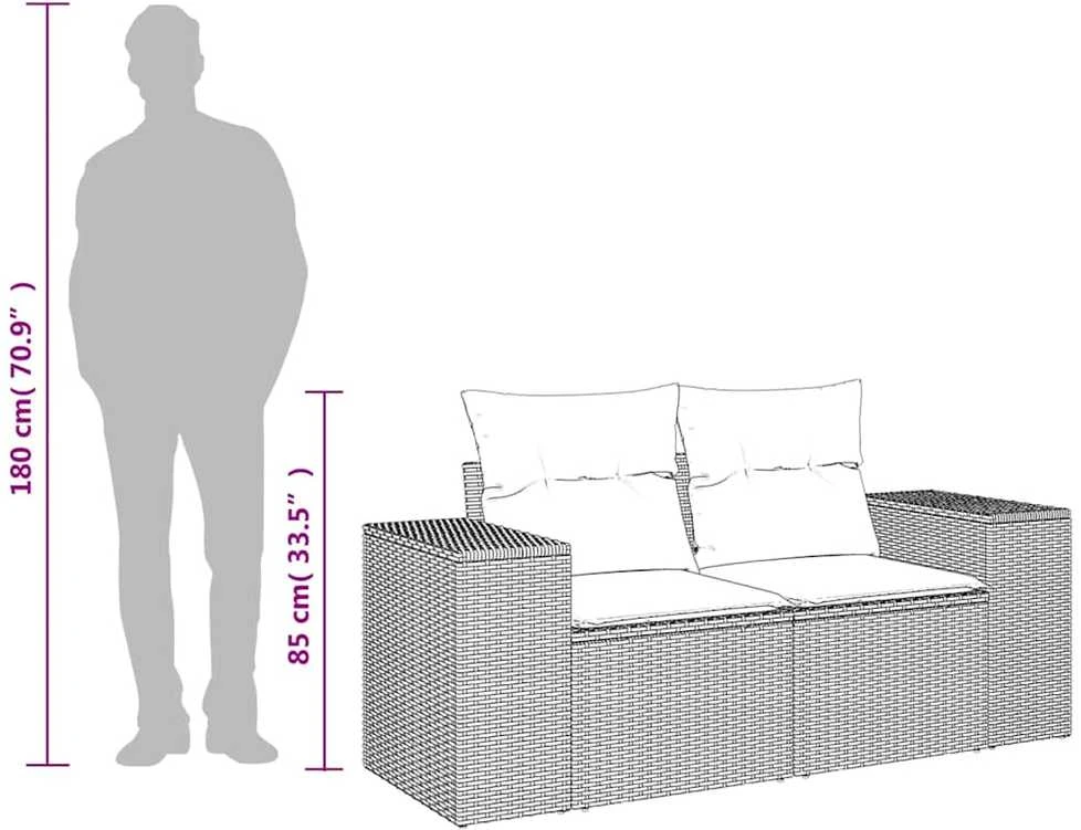Dvivietė sodo sofa su pagalvėlėmis, smėlio spalvos, poliratanas