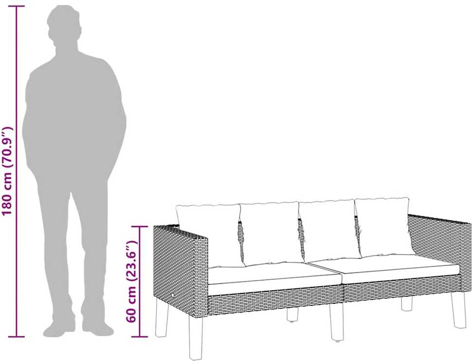 Dvivietė sodo sofa su pagalvėlėmis, smėlio spalvos, poliratanas