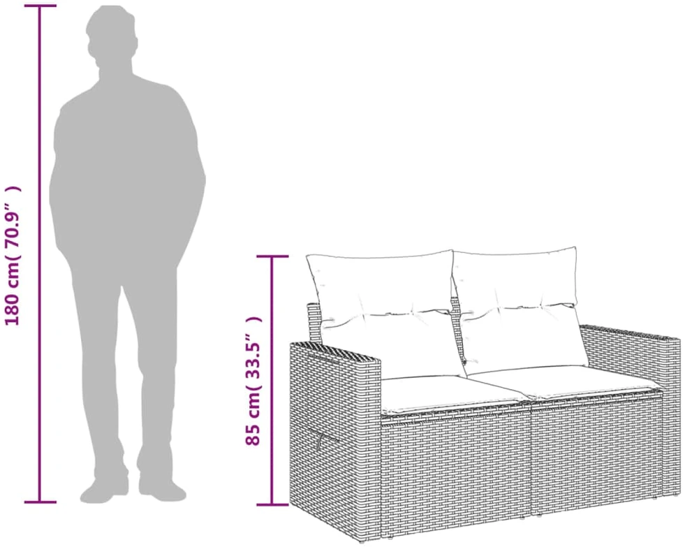 Dvivietė sodo sofa su pagalvėlėmis, smėlio spalvos, poliratanas