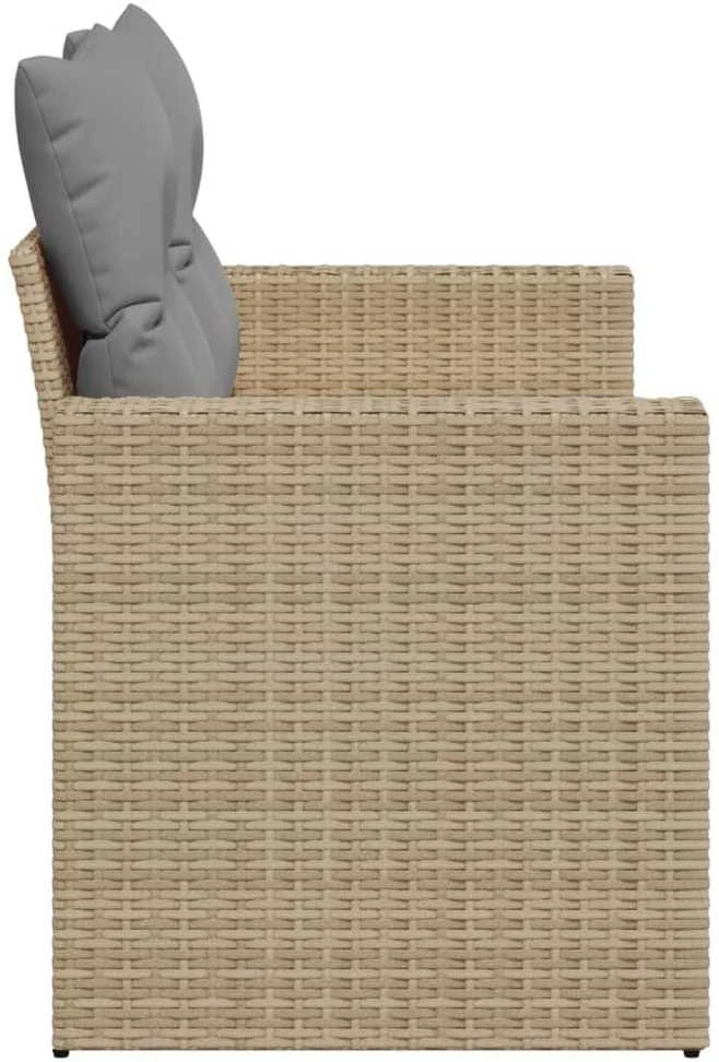 Dvivietė sodo sofa su pagalvėlėmis, smėlio spalvos, poliratanas