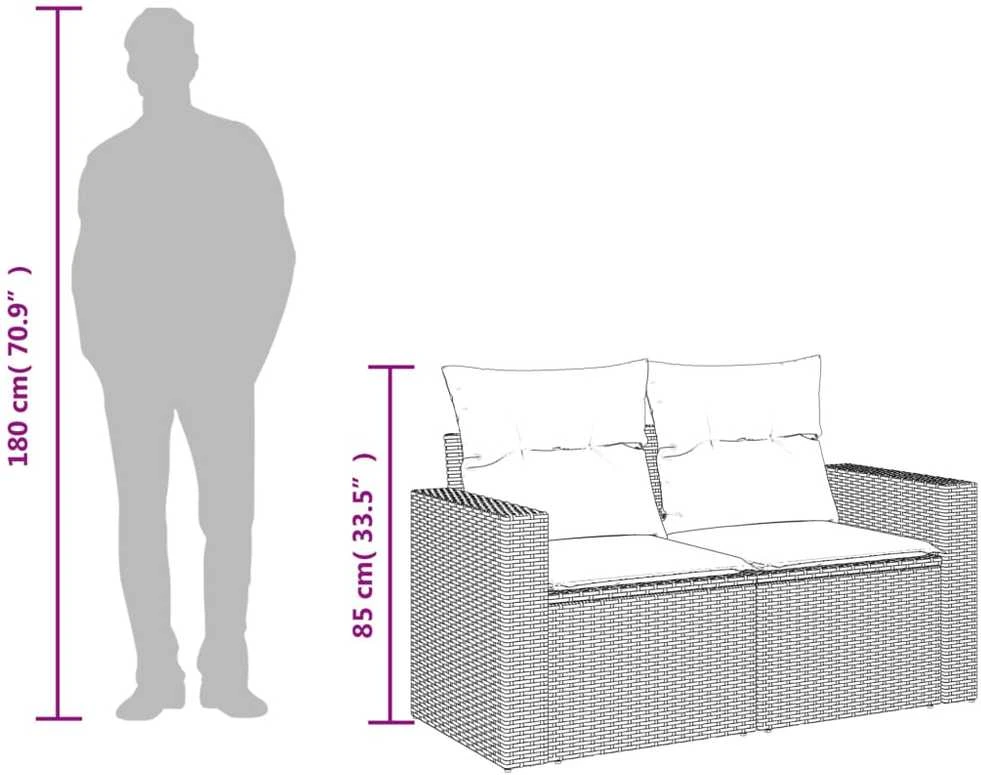 Dvivietė sodo sofa su pagalvėlėmis, smėlio spalvos, poliratanas
