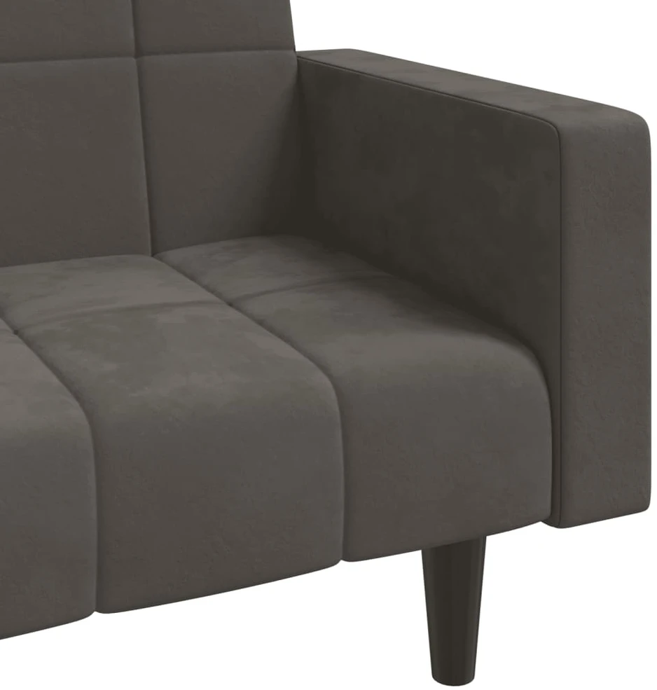 Dvivietė sofa-lova su dvejomis pagalvėmis, pilka, aksomas