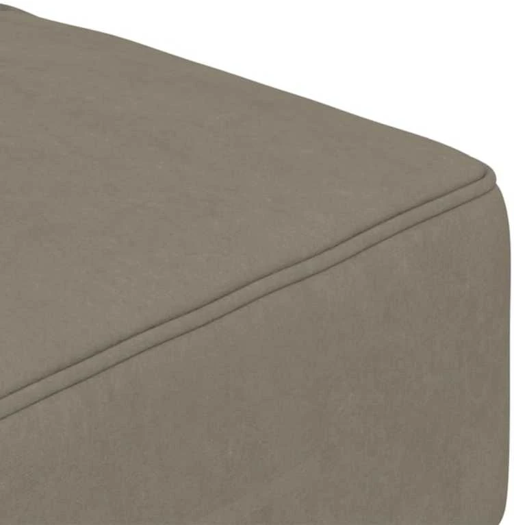 Dvivietė sofa-lova su dvejomis pagalvėmis, pilka, aksomas