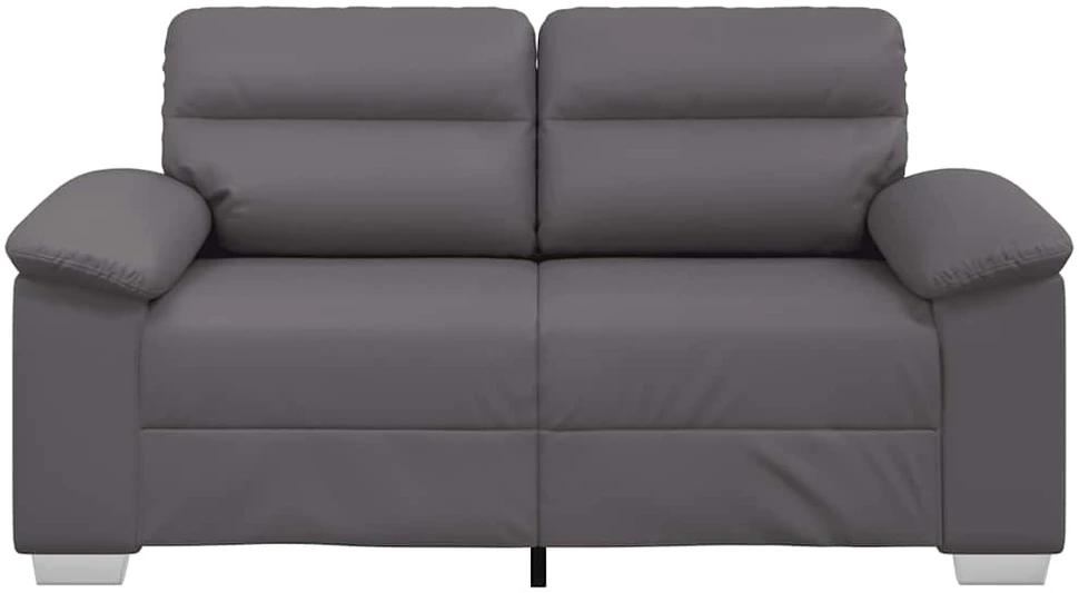 Dvivietė sofa, pilka, 160x81x84 cm, dirbtinė oda