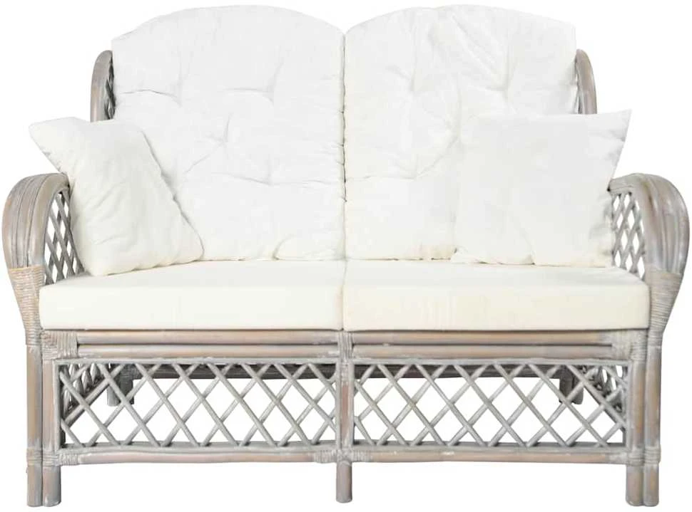 Dvivietė sofa, pilkos spalvos, ratanas