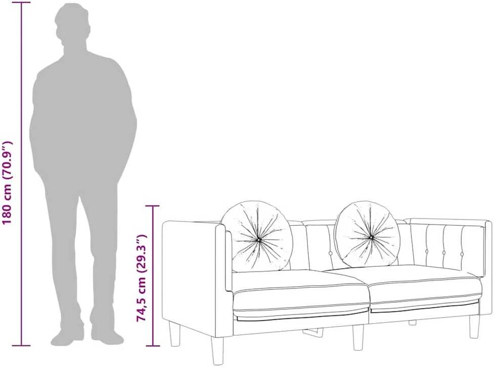 Dvivietė sofa su pagalvėlėmis, geltonos spalvos, aksomas