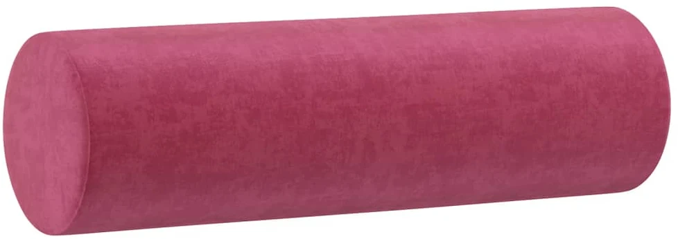 Dvivietė sofa su pagalvėlėmis, raudonojo vyno, 120cm, aksomas
