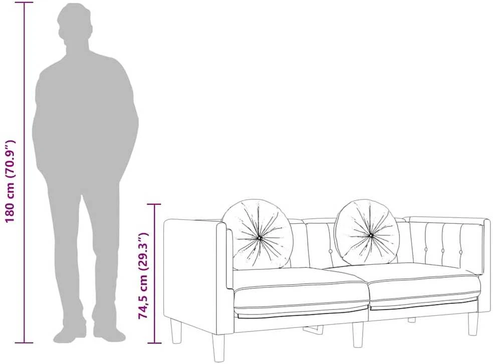 Dvivietė sofa su pagalvėlėmis, rožinės spalvos, aksomas