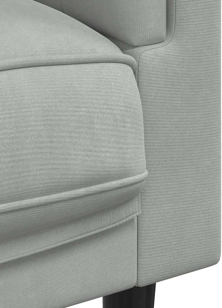 Dvivietė sofa su pagalvėlėmis, šviesiai pilkos spalvos, aksomas