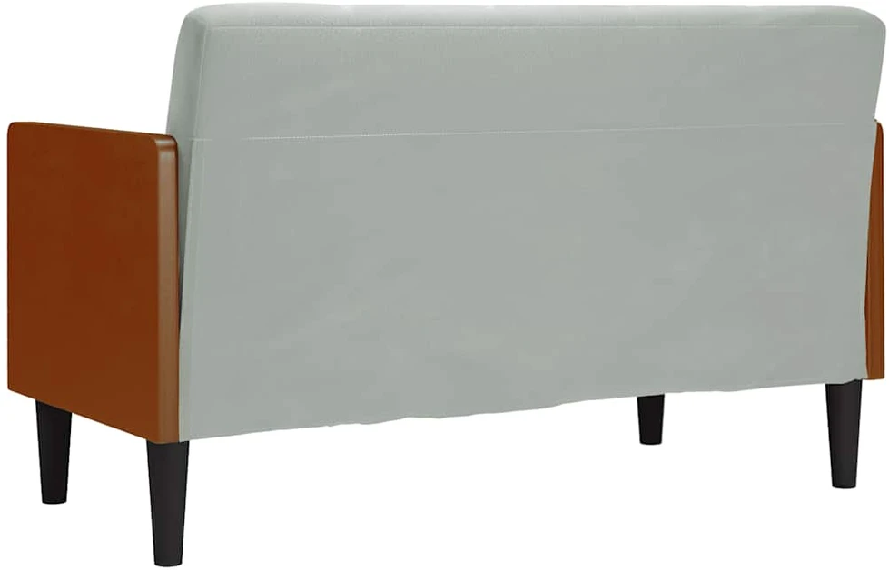 Dvivietė sofa su pagalvėlėmis, šviesiai pilka, 110 cm, aksomas